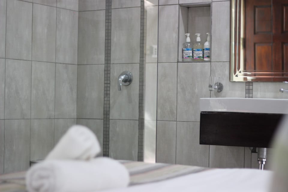 Standard Double or Twin Room | Bathroom | Shower, free toiletries, hair dryer, slippers