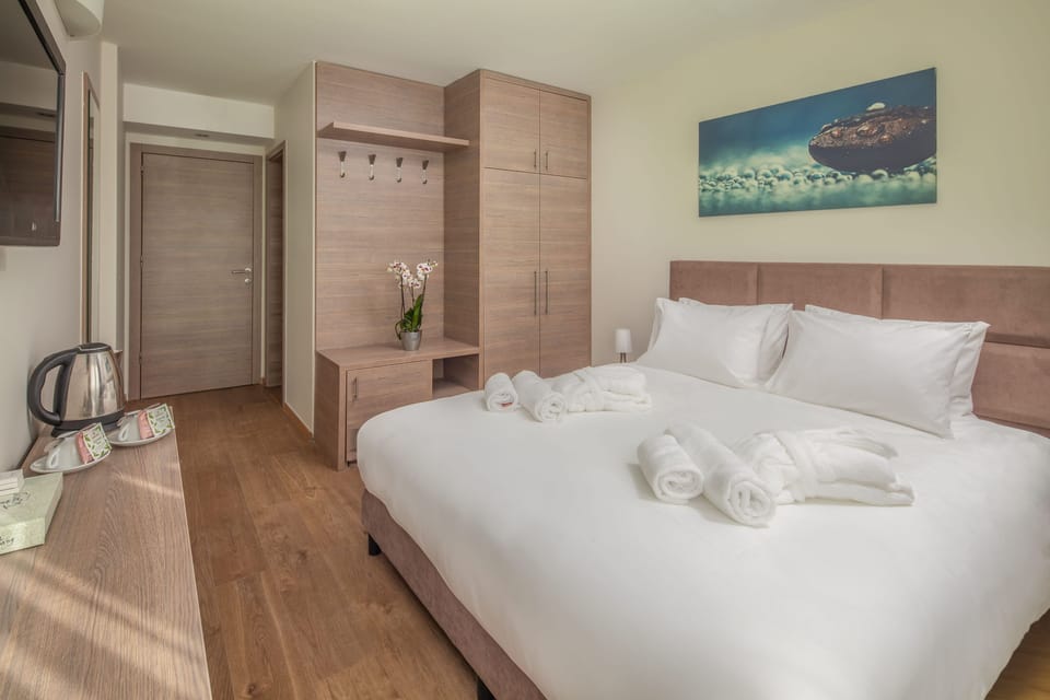 Standard Double Room | Egyptian cotton sheets, premium bedding, minibar, in-room safe