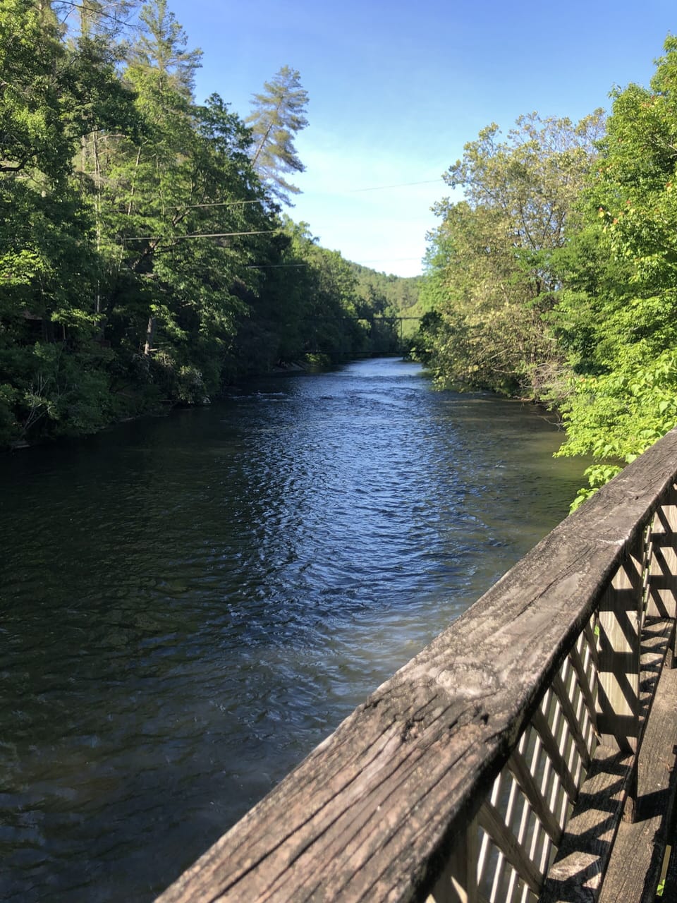 View of the gorgeous Toccoa River from the road’s private overlook dock