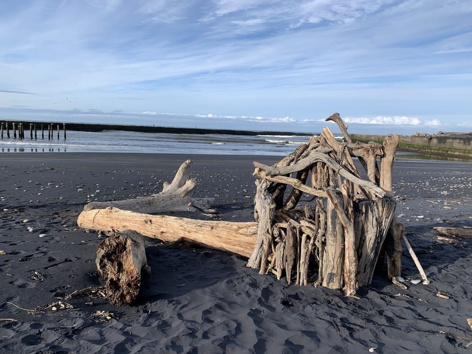 Patea driftwood  found 