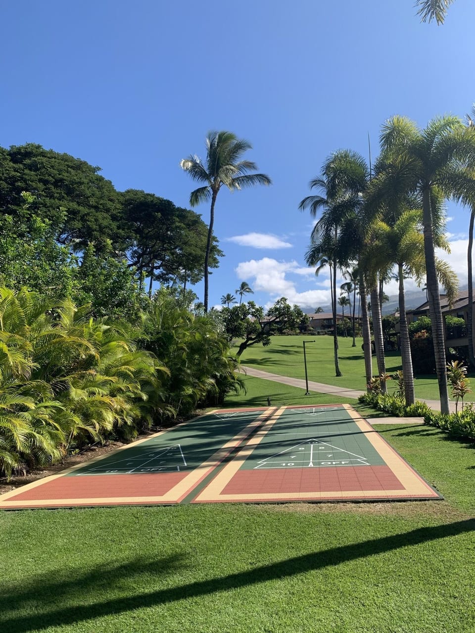 Shuffle board courts 