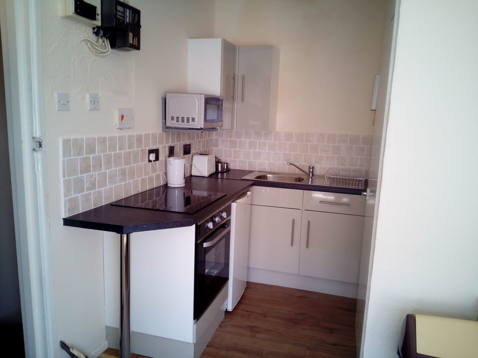 Apartment | Private kitchen | Fridge, microwave, oven, stovetop