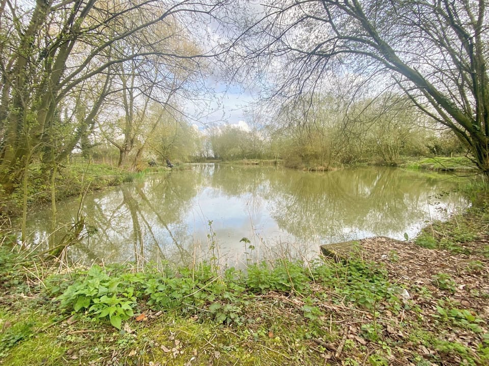 Fishing lake 2 minute walk from lodge | Moor Farm Lodge, Foxley, near Dereham