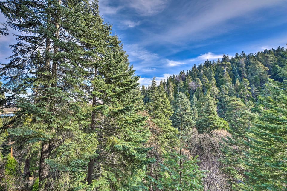Unimpeded Forest Views | National Forest Setting | Stairs to Access Home