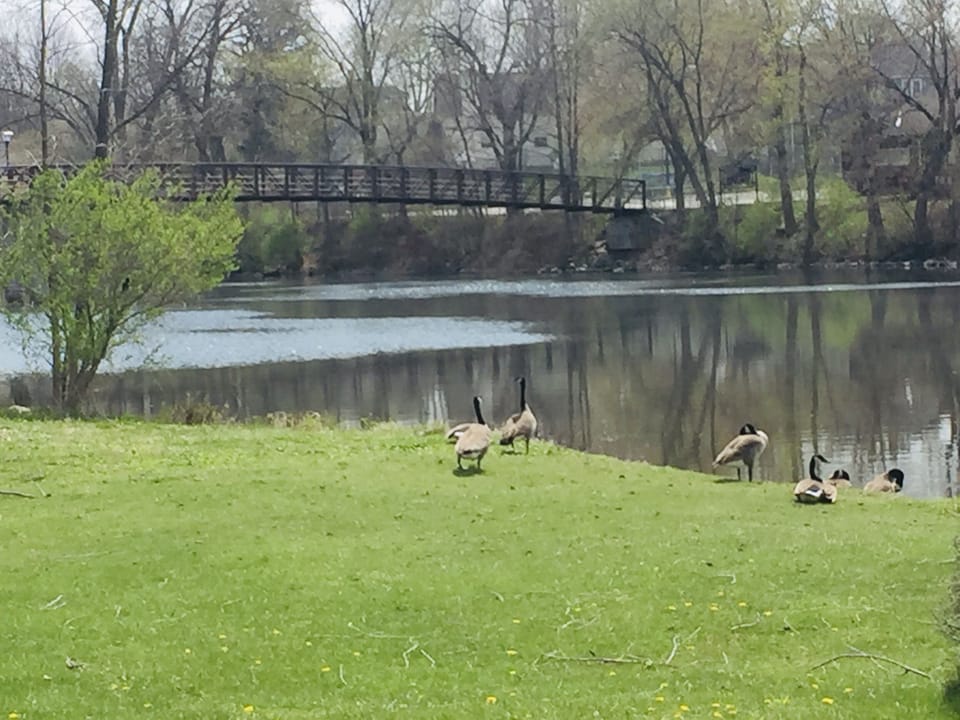 Short walk across bridge to the Town of Plymouth, aquatic center, miniature golf