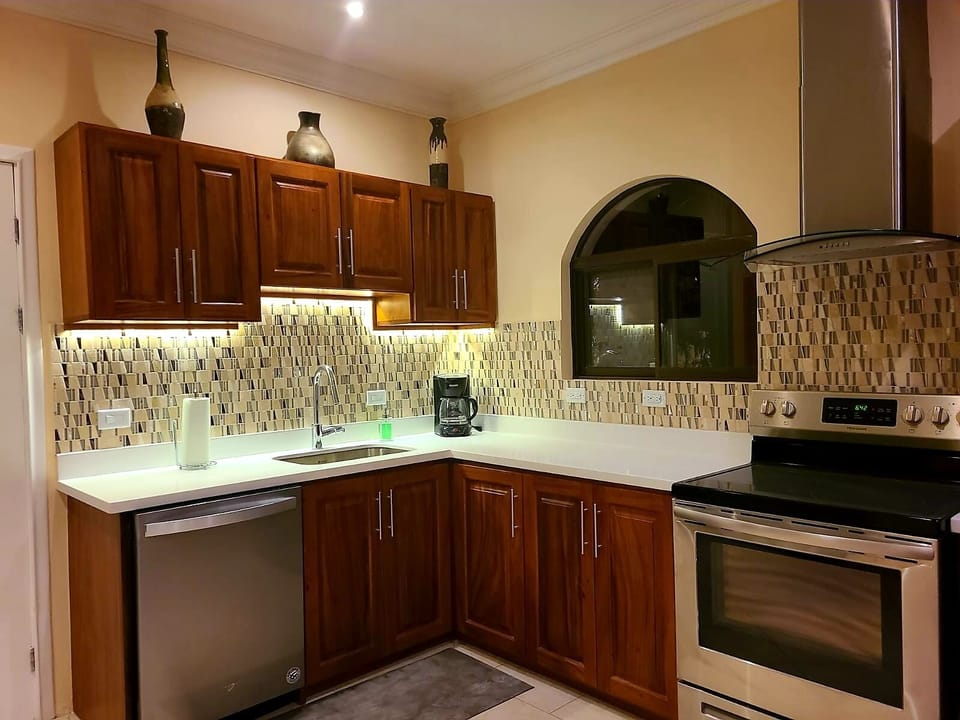 New Kitchen with Guanacaste cabinetry and quartz countertops