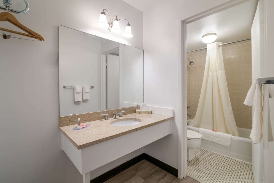 Standard Room, 1 King Bed, Non Smoking | Bathroom | Free toiletries, hair dryer