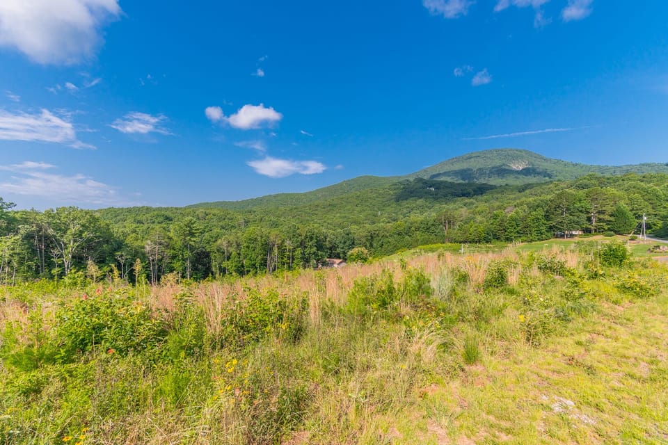 View of Mt. Yonah. 