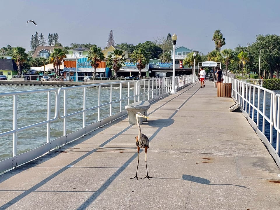 Williams Pier 