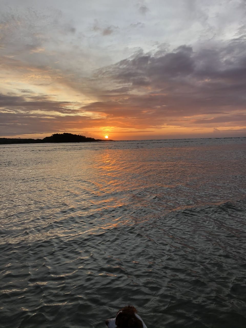 Sunrise