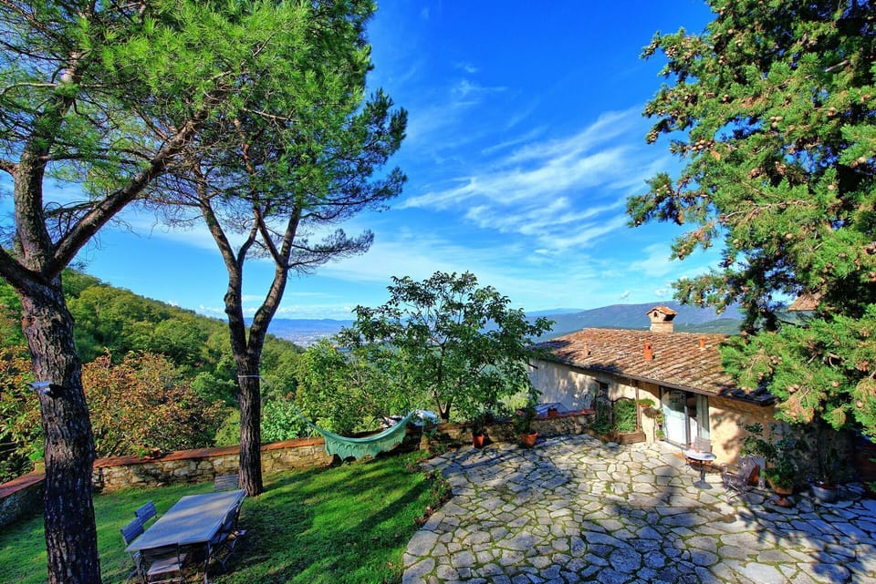Garden, Outdoor, Scenic View