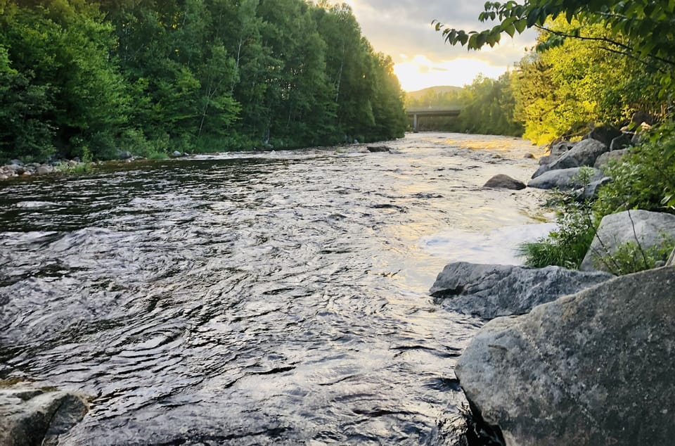 Ammonoosuc River in summer (just behind the cabin)!