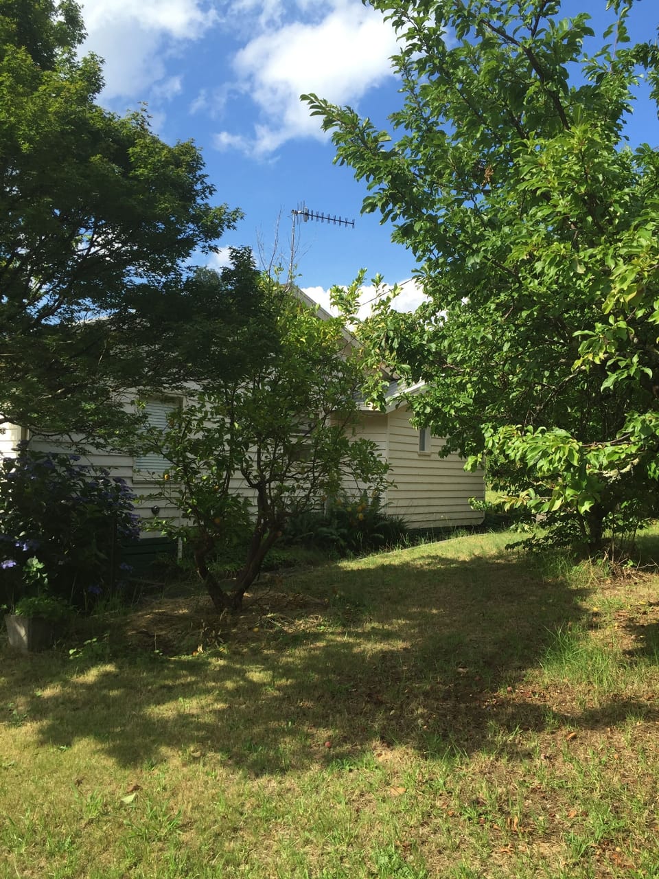 Side of the house.