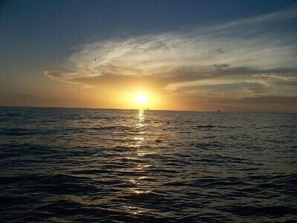 Beach nearby, white sand, beach shuttle, sun loungers