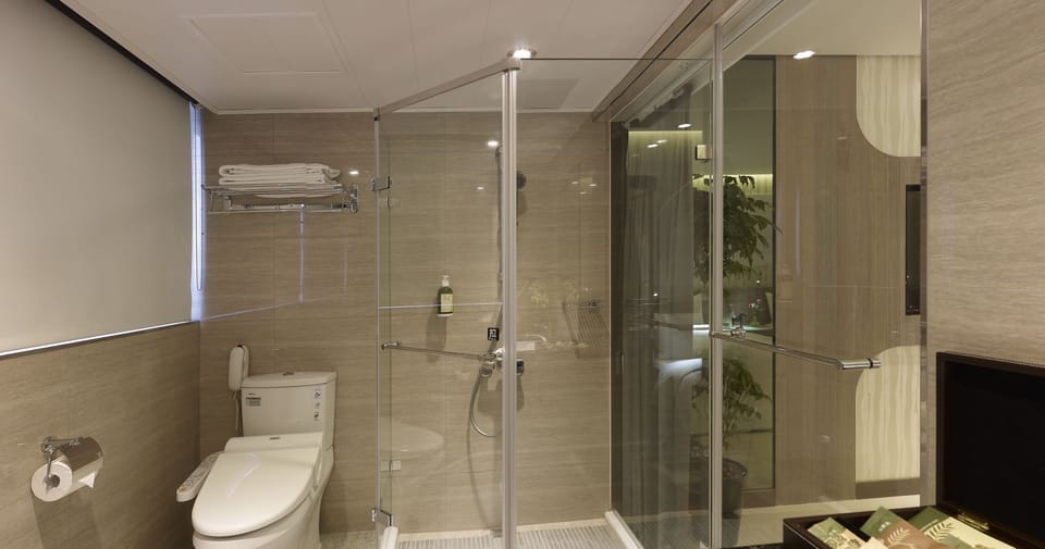 Shower, hair dryer, slippers, bidet