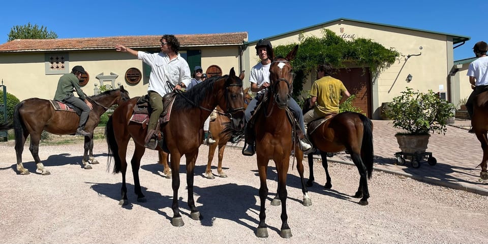 Ecotours
