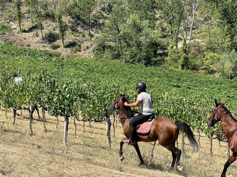 Horseback riding