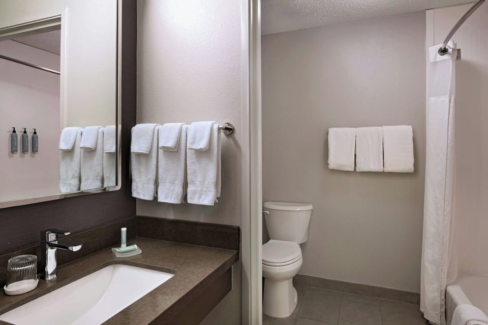Combined shower/tub, free toiletries, hair dryer, towels