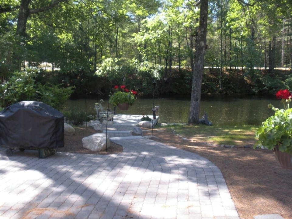 View of the river from the house 
