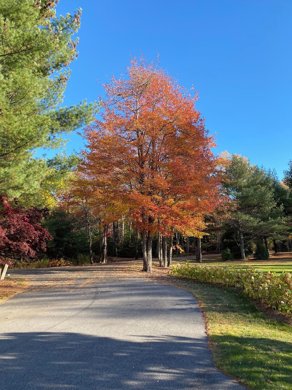 Drive up to the house and take in the beauty