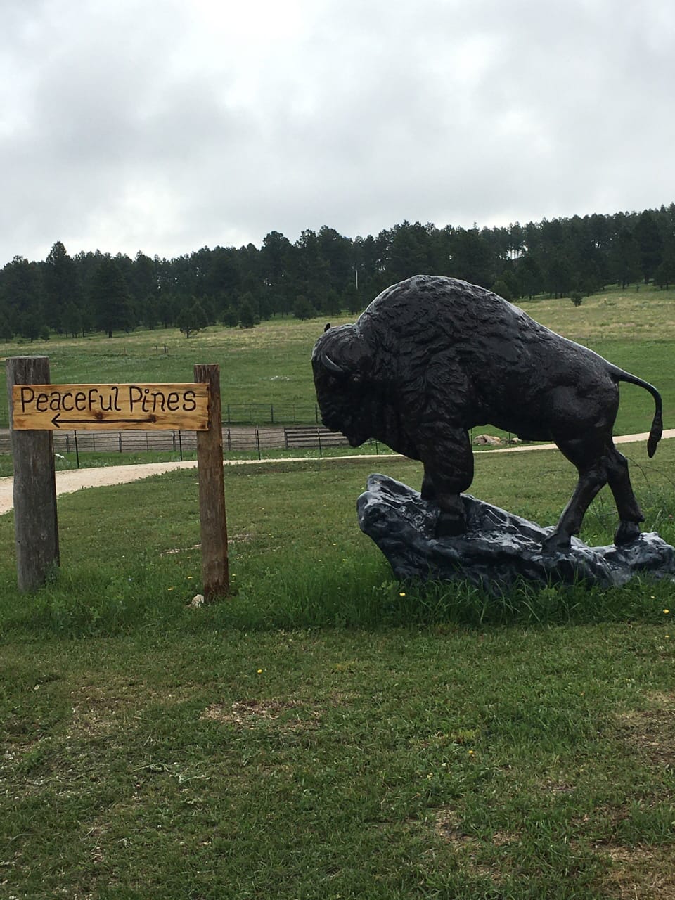 Welcome to Peaceful Pines 25444 Sidney Park Rd 