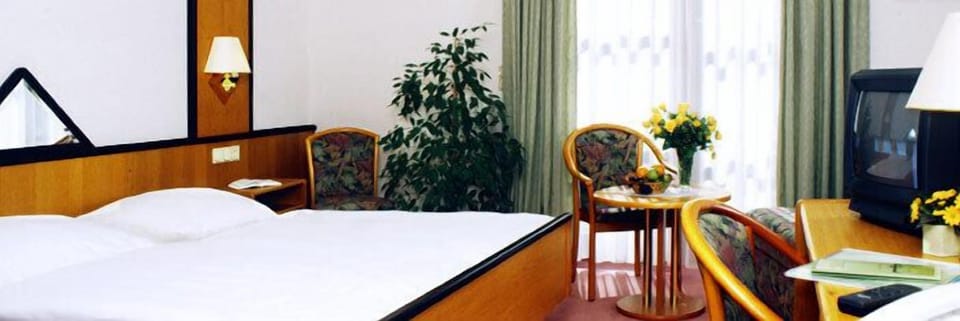 Standard Double Room, 1 Bedroom | Minibar, desk, free cribs/infant beds, rollaway beds