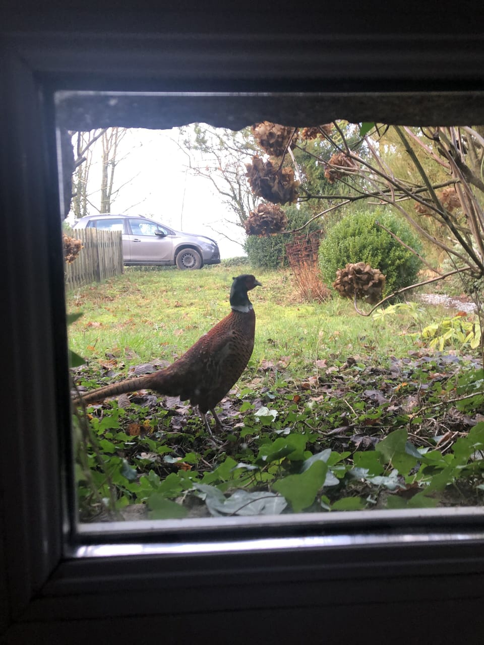View from property