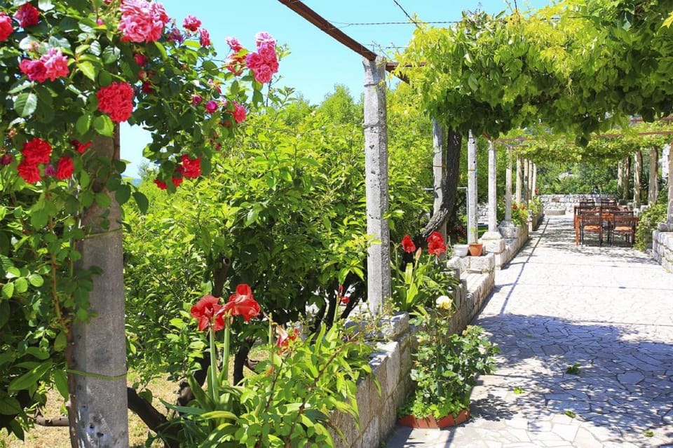 Twin Room (Superior Double Room - Soba 3) | Exterior