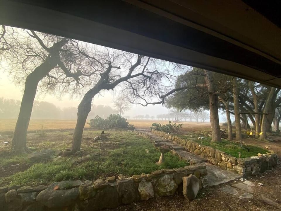 View from the front porch on a foggy morning