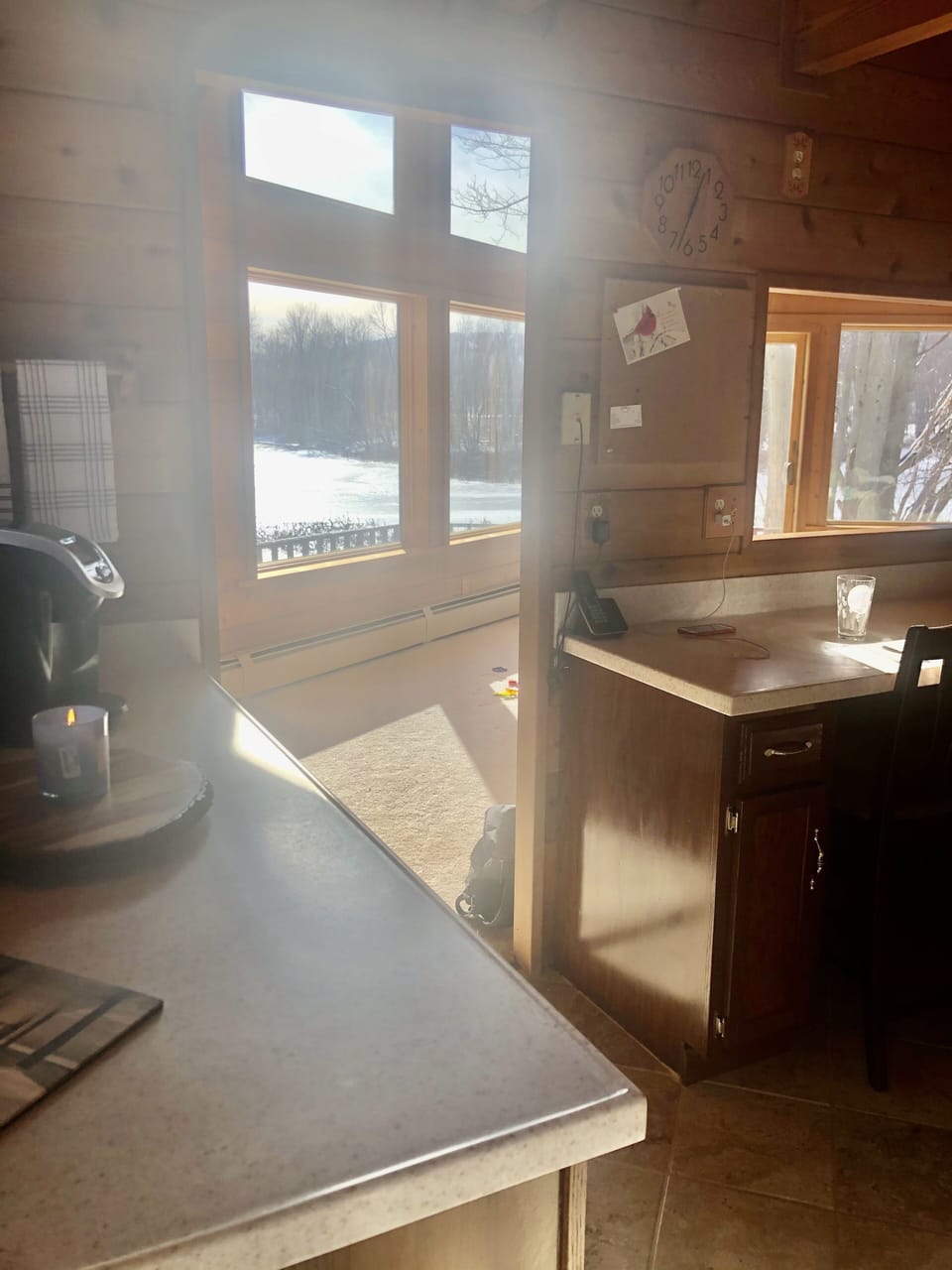 View from kitchen facing lake.