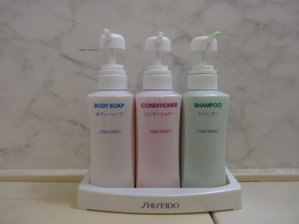 Combined shower/tub, free toiletries, hair dryer, slippers