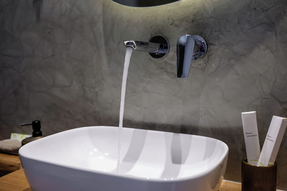 Deluxe Double Room | Bathroom | Shower, hydromassage showerhead, free toiletries, hair dryer