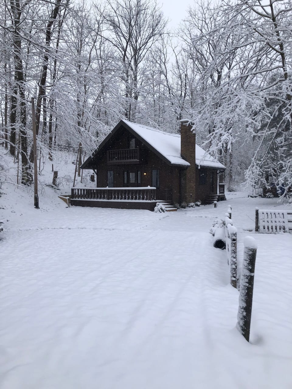 Winter wonderland 