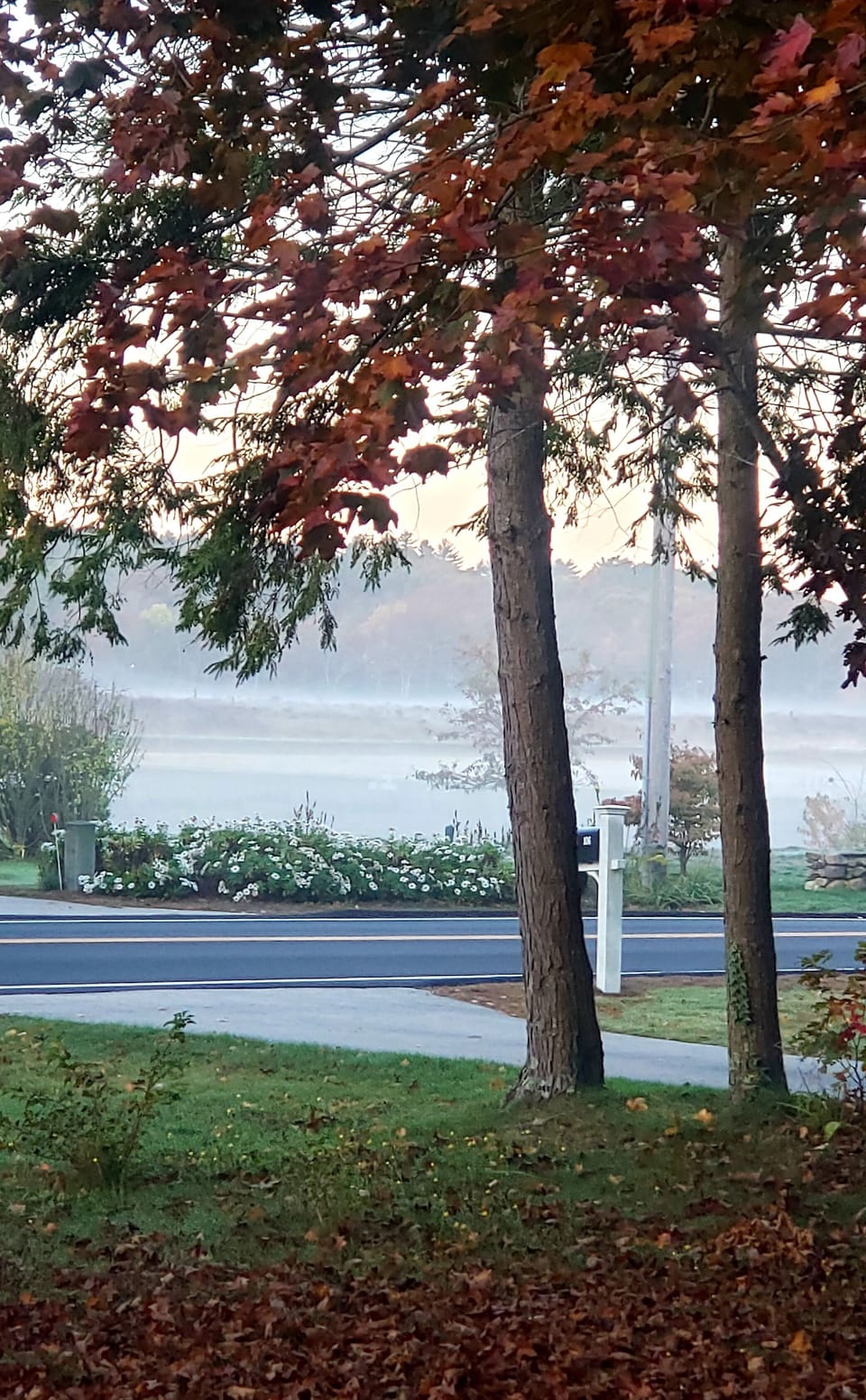 View from the deck at end of October
