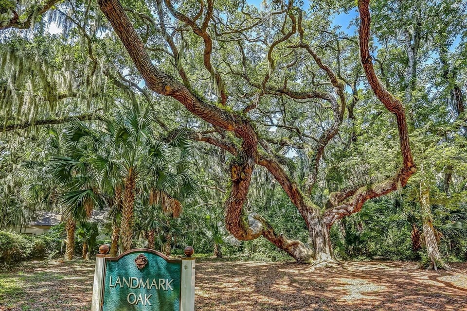 Condo, 2 Bedrooms | Miscellaneous