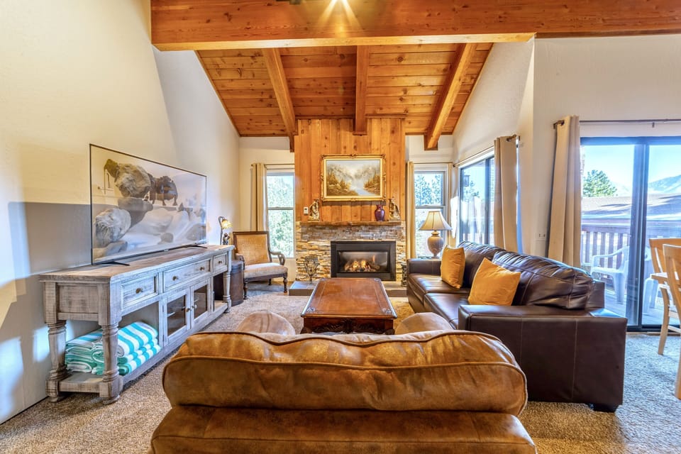 Living room has new furniture, and comfortable pull-out sleeper sofa.