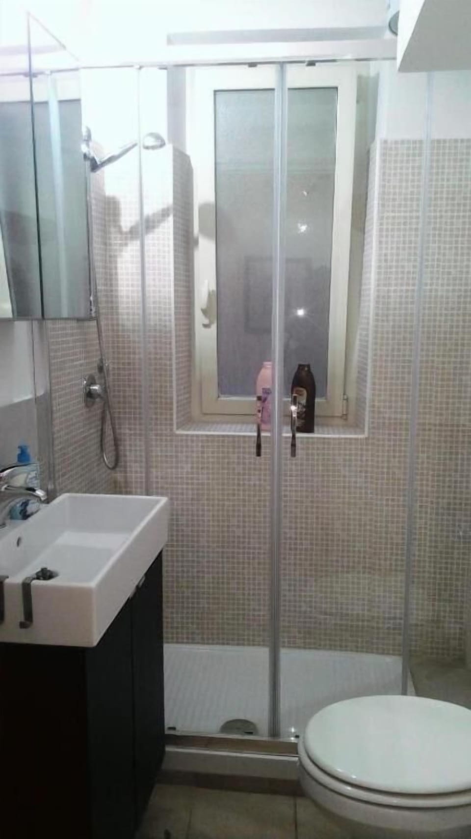 Classic Apartment | Bathroom | Shower, rainfall showerhead, free toiletries, hair dryer