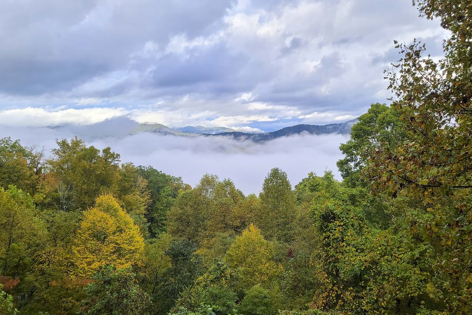 Smoky Mountain Views