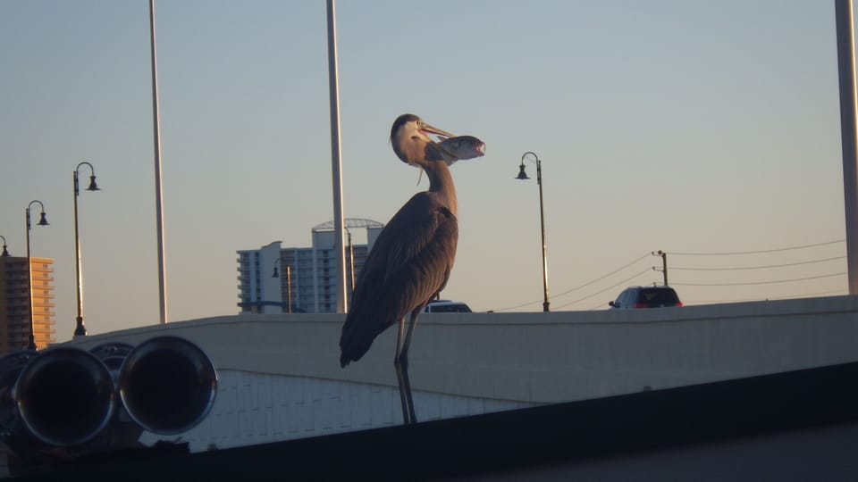 Just never know what you'll see when visiting