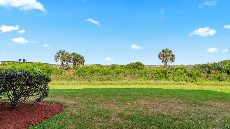 Patio Dunes View