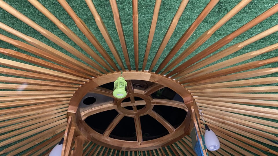 Image 20