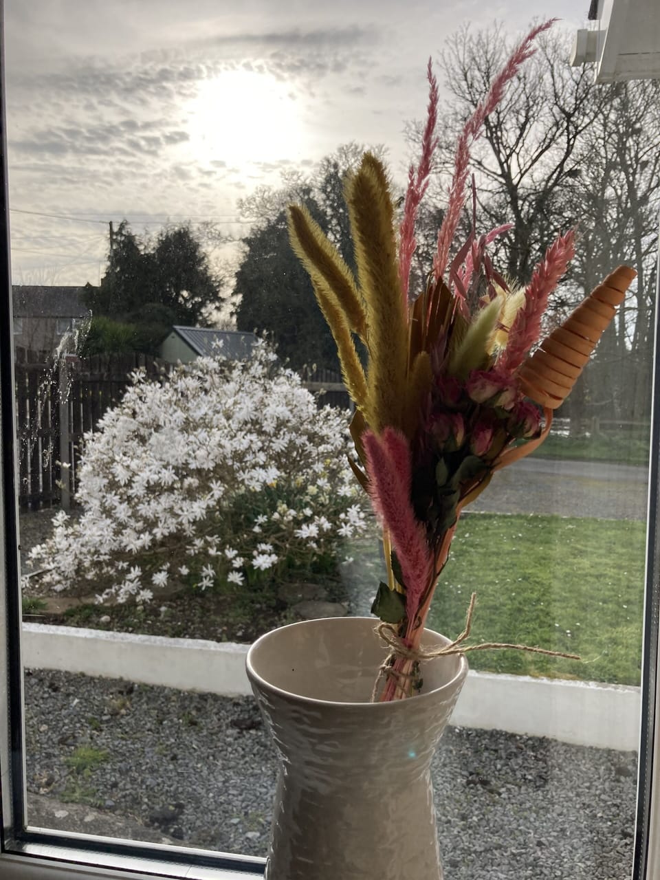 View from a window onto the drive way and trees beyond