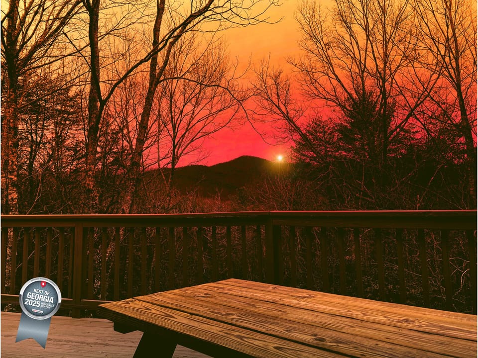 Little Andy Mountain Cabins Voted Best of GA 2025