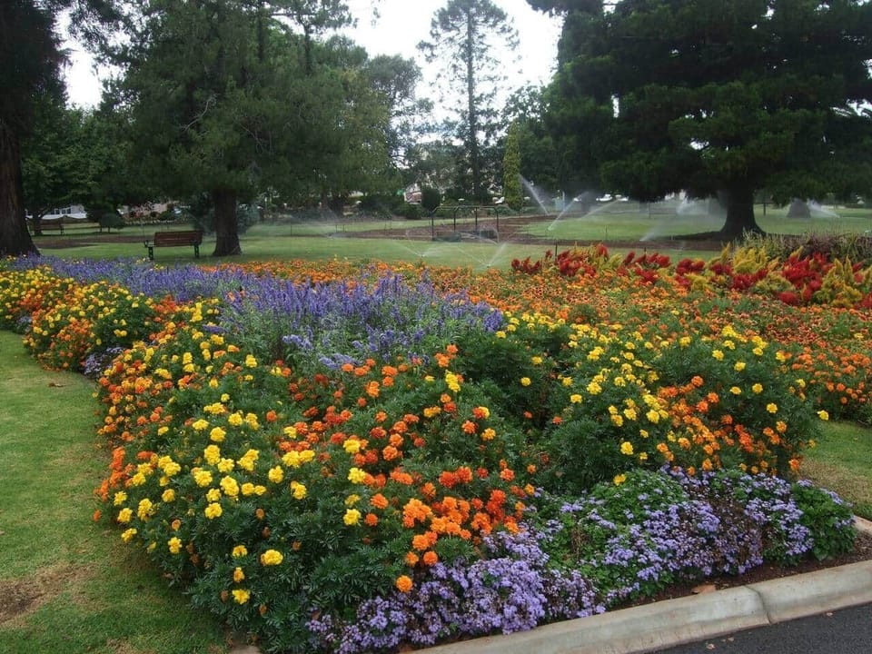 Botanic gardens in Queen's Park (less than 5 minutes walk from Bannockburn Cottage)