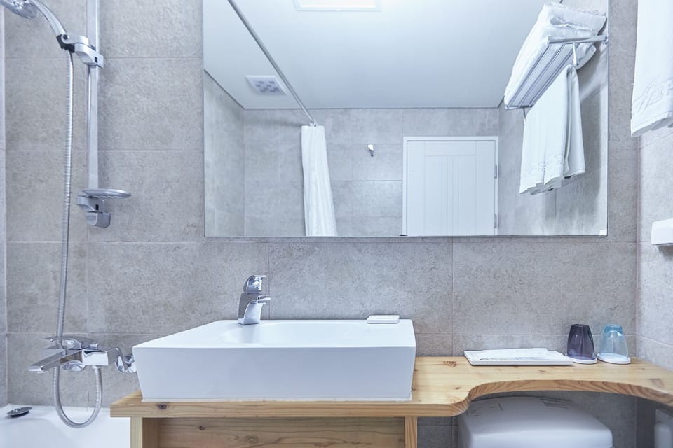 Bathtub, hair dryer, slippers, bidet