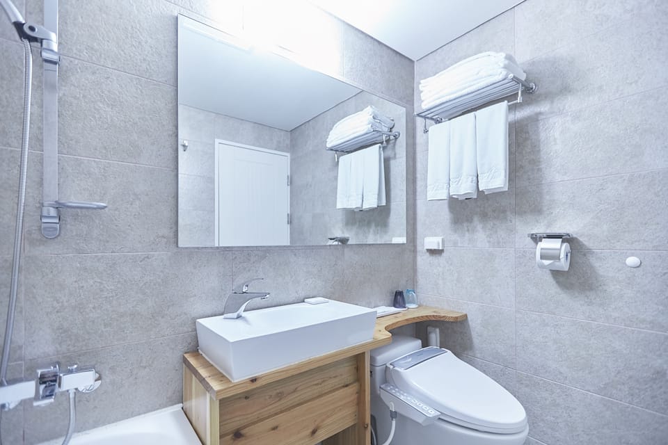 Bathtub, hair dryer, slippers, bidet