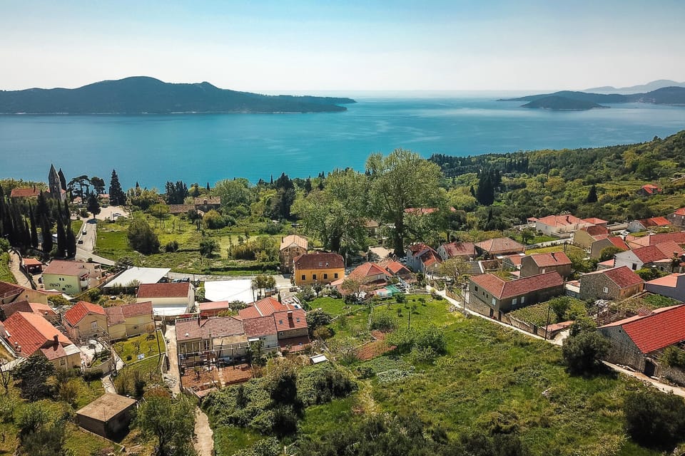 Villa (Three-Bedroom Villa with Swimming Poo) | Aerial view