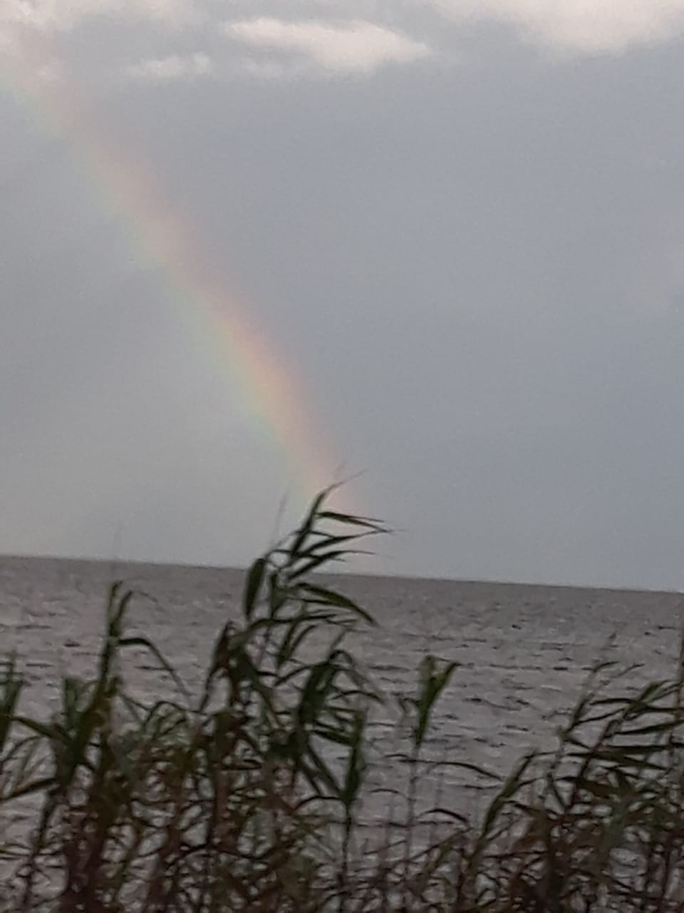 Beautiful Beach views