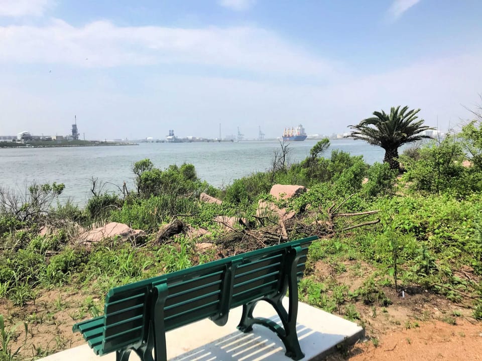 Surfside's shipping channel - great bird & big ship watching