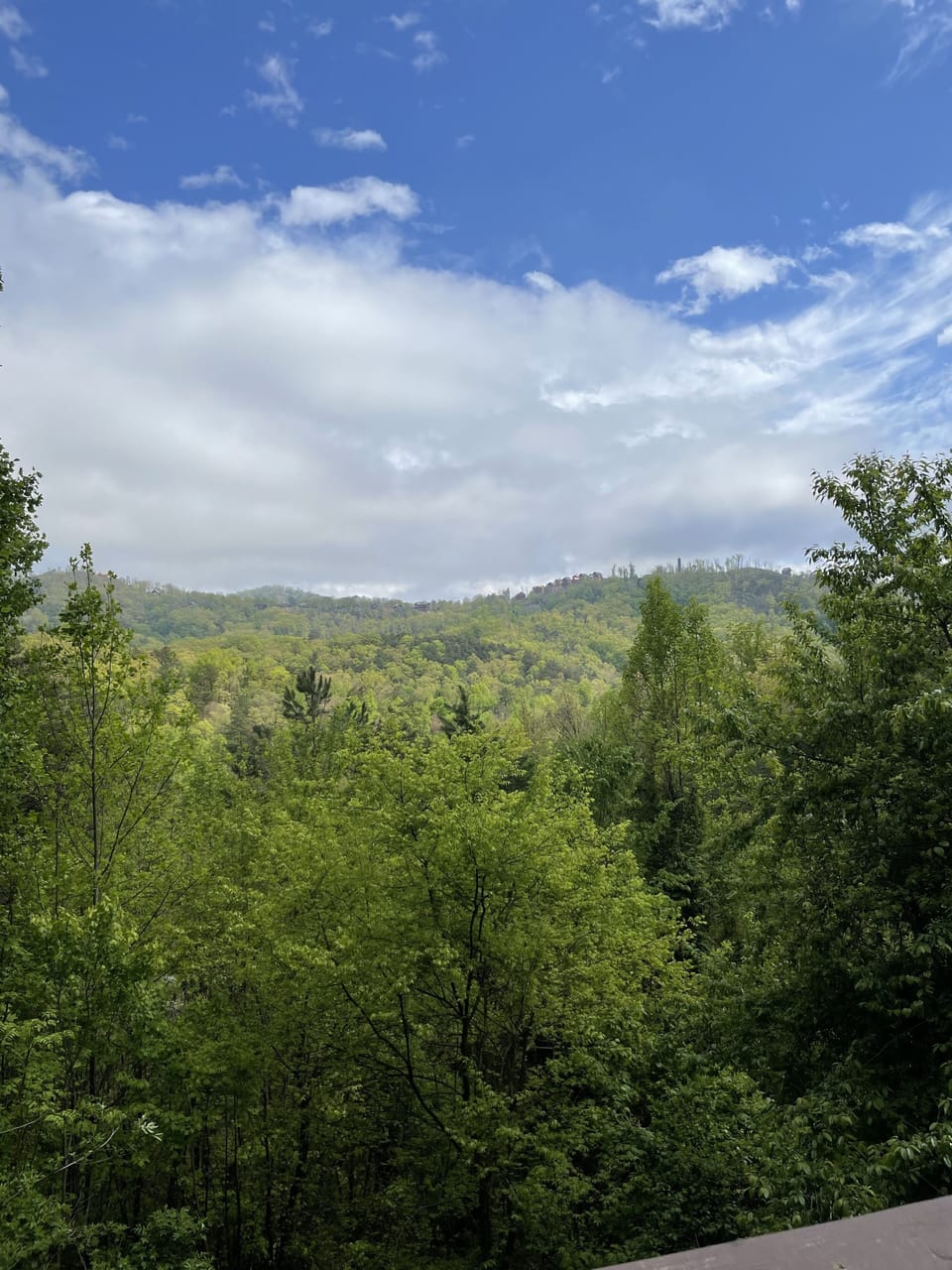 View from deck